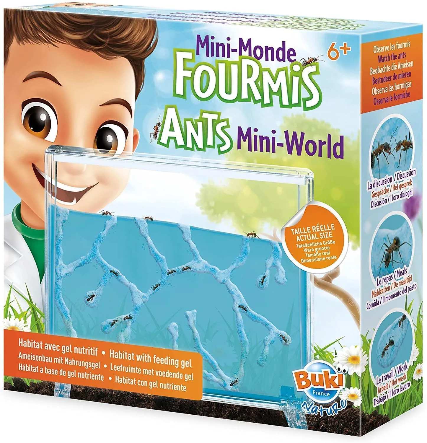 Archival Quality Apartment Living BUKI France Nature Ants Mini-World