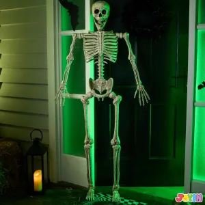 Mysterious Decorations Scary Treats 5.6ft Halloween Posable Life Size Skeleton Full Body Realistic Bones with Movable Joints