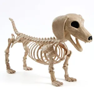 Spooky Crafts Halloween Wiener Dog Skeleton 24in with Posable Joints