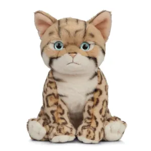 Independent Artist Creature Replica LIVING NATURE AN448 Bengal Kitten 18cm Plush