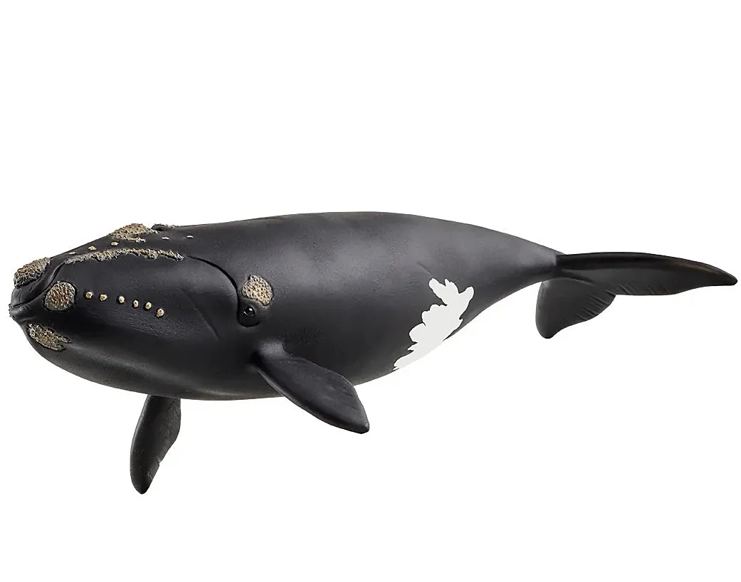 SCHLEICH 14878 Iceberg Right Whale Modern Icon