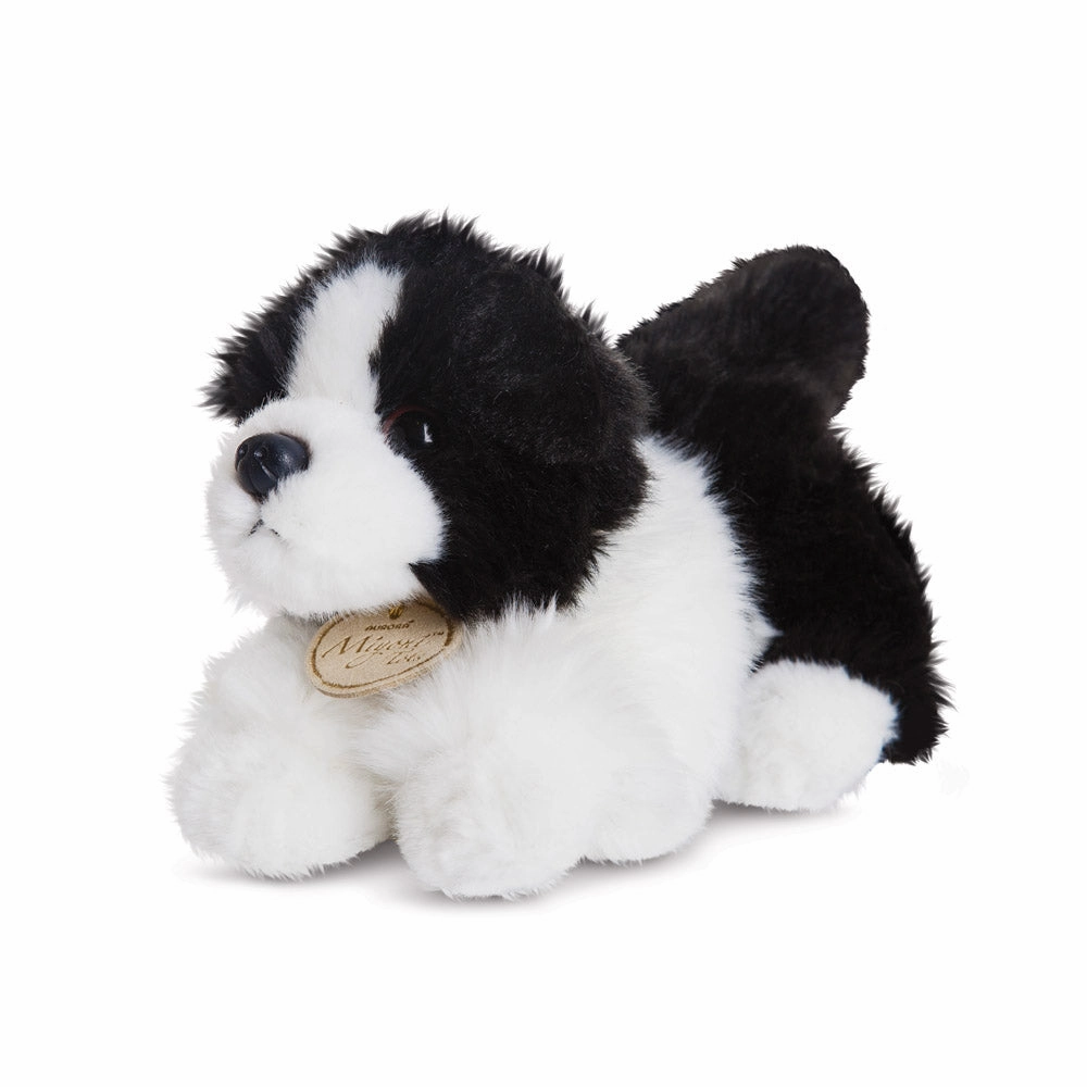 MiYoni Collie 20cm Box Designer