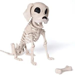 Posable Halloween Dog Skeleton Full Body Posable Joints Skeleton Puppy Wicked Props Ghoulish Designs