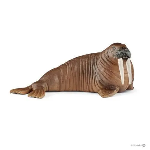 Collectors Figure Schleich 14803 Walrus Wild Life Figure