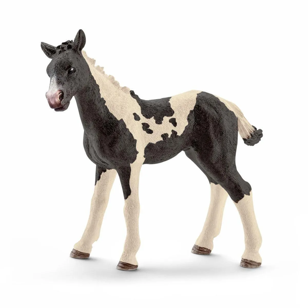 Educational Toy SCHLEICH 13803 Pinto Foal Figure