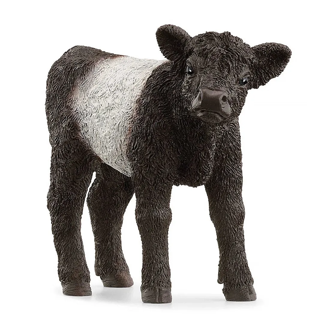 Hobbyist Collection SCHLEICH 13969 Galloway Calf