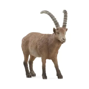 Schleich 14873 Ibex Figure Anatomy Figure Desktop Decor