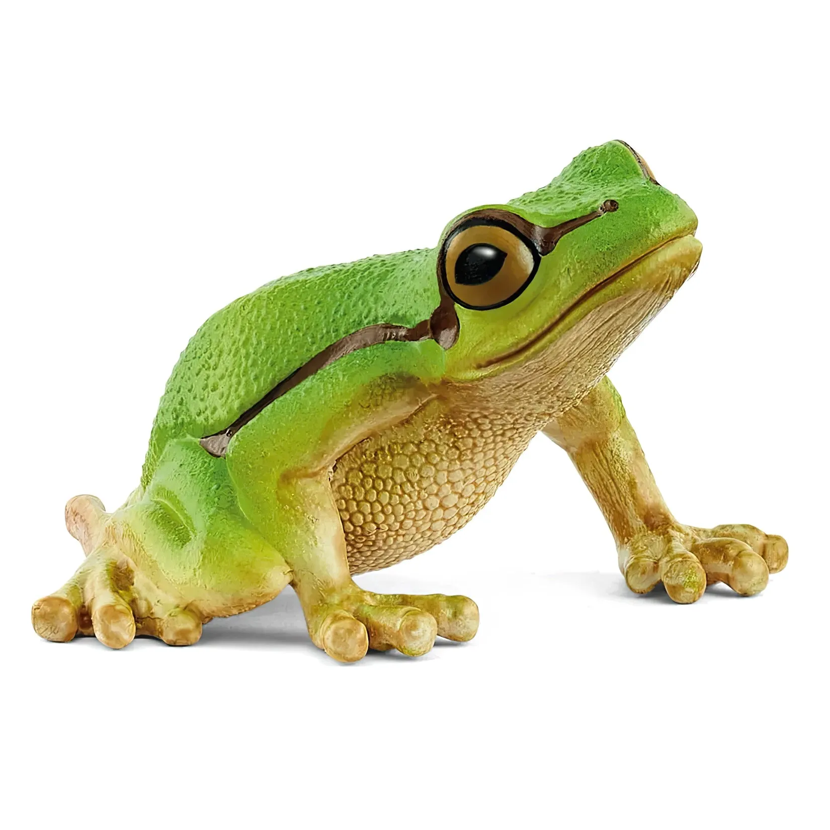 Fast shipping Artisanal Product Schleich 14882 European Tree Frog Figure