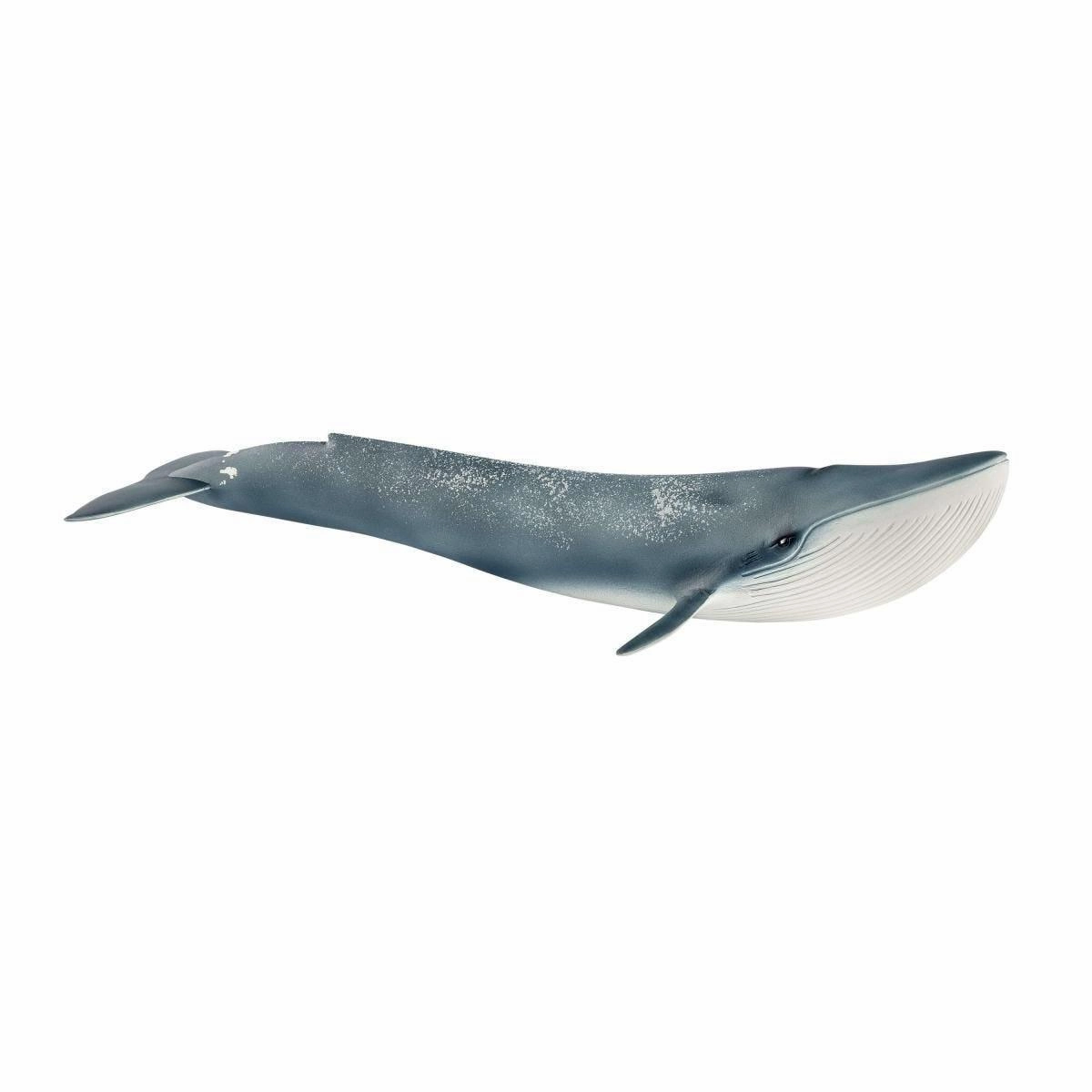 Virtual Good Premium Replica SCHLEICH 14806 Blue Whale Figure