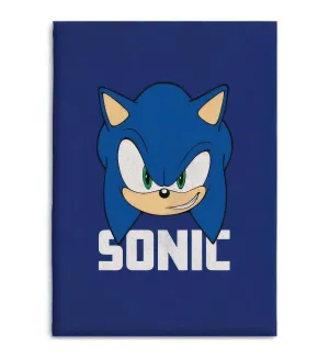 Creature Model Sonic The Hedgehog Polar Blanket
