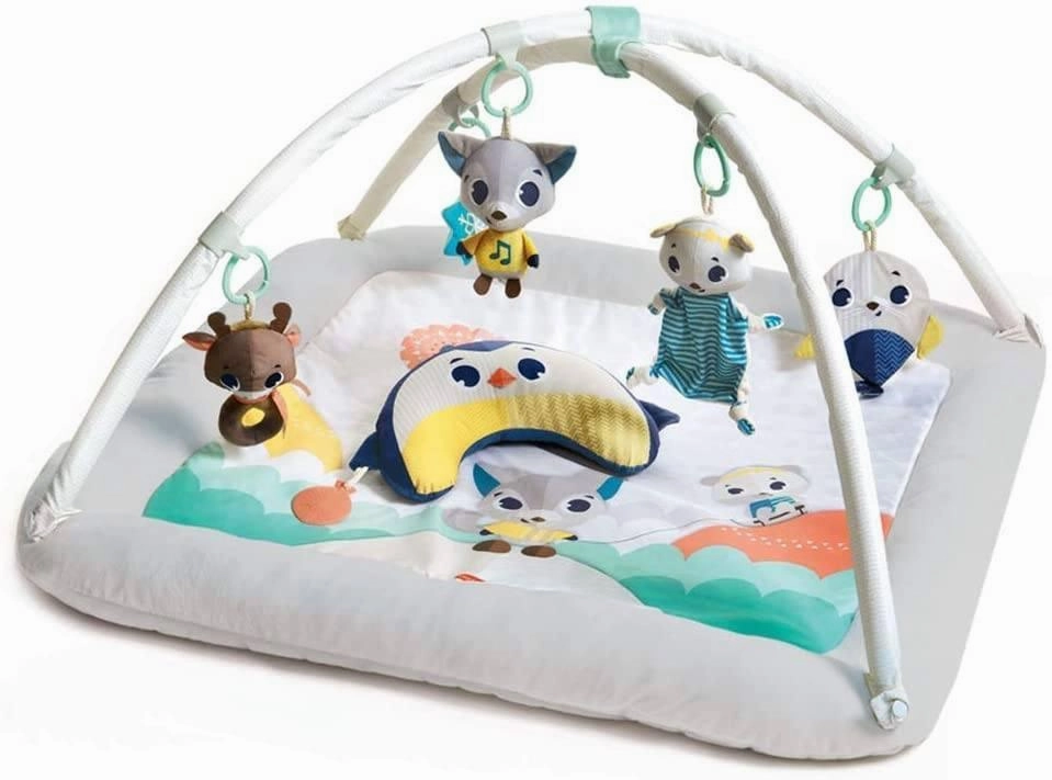 Tiny Love Plush Gymini Polar Wonders Passed Down